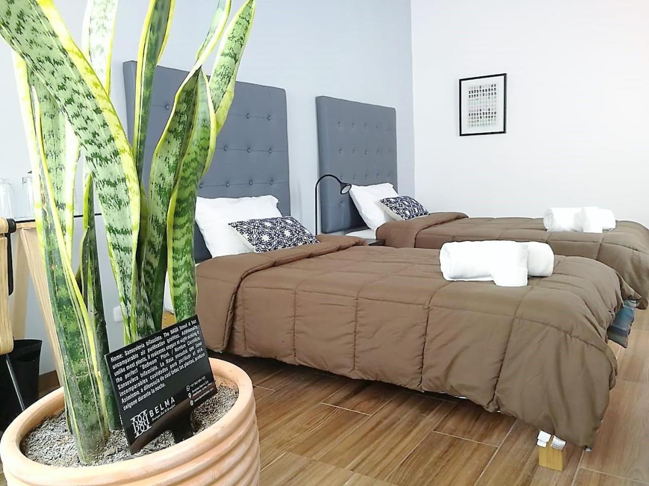Belma Boutique Hotel 3*